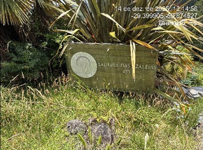 10008320_foto1.jpg