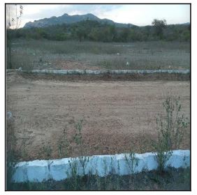 10196820_foto1.jpg