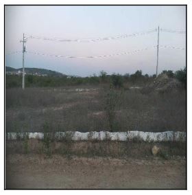 10196823_foto1.jpg