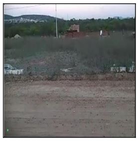 10196828_foto1.jpg