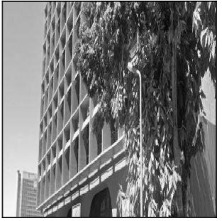 10289425_foto1.jpg