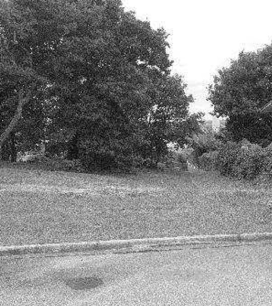 10291015_foto1.jpg