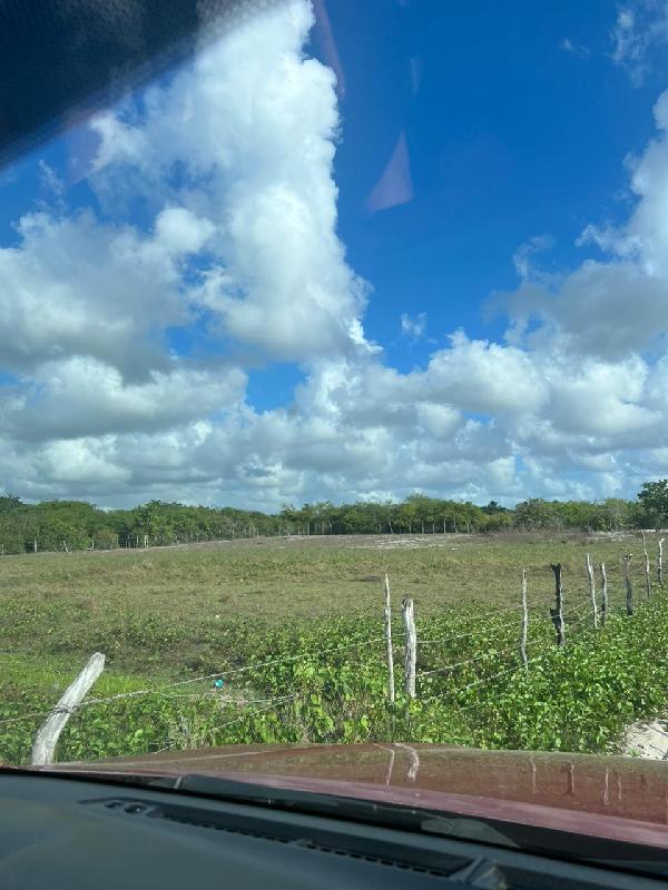 1444404568478_foto1.jpg