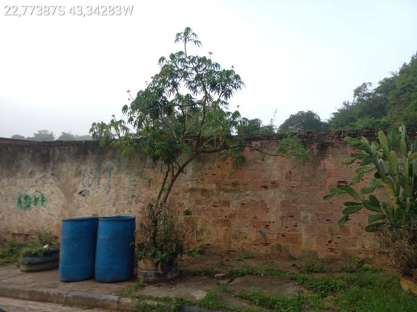 1444417117321_foto1.jpg