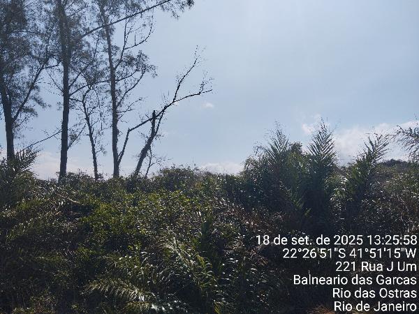 1444419746075_foto1.jpg