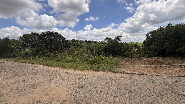 1555520660247_foto1.jpg