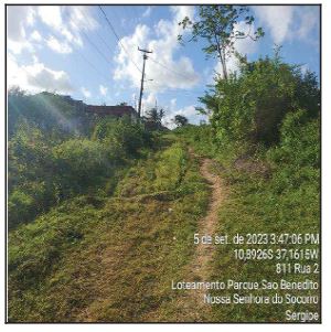 8444413656234_foto1.jpg