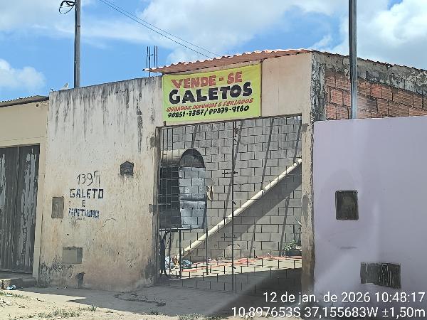 8444418524530_foto1.jpg