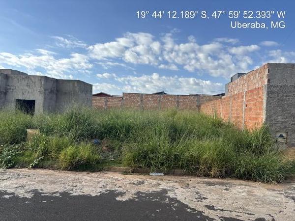8444425297633_foto1.jpg