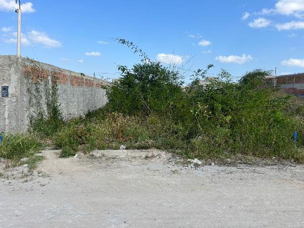 8444428446435_foto1.jpg