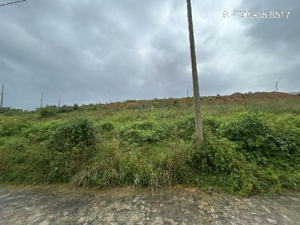 8444436352959_foto1.jpg