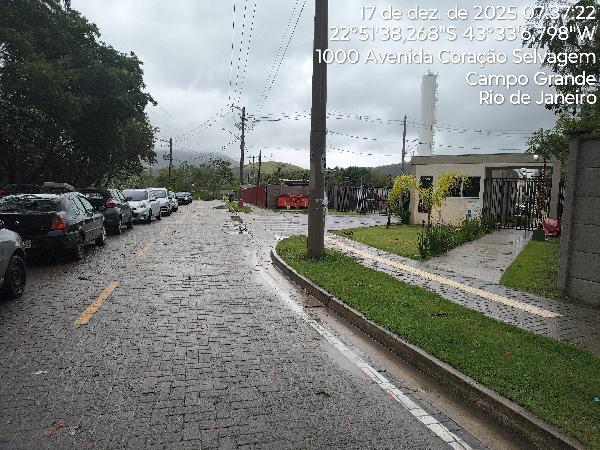 8787718621305_foto1.jpg