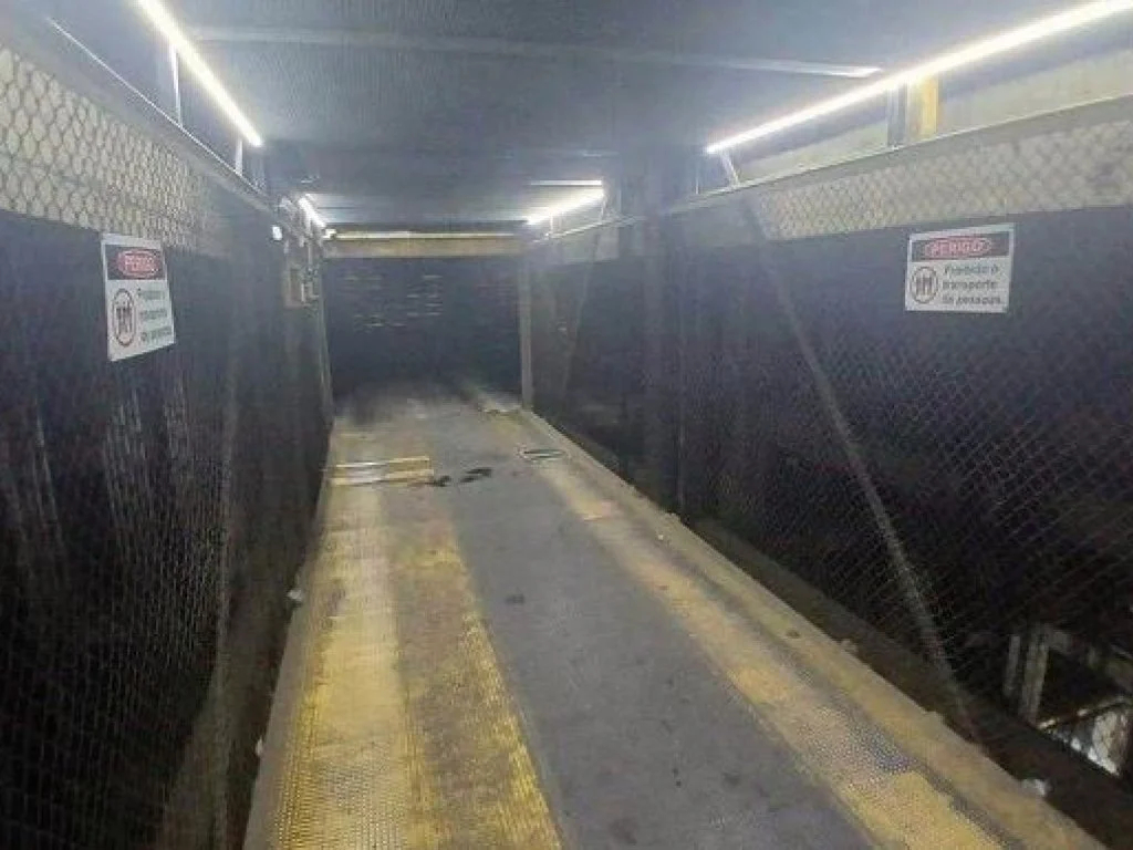 X122491_foto6.jpg
