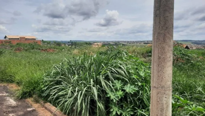 X123664_foto8.jpg