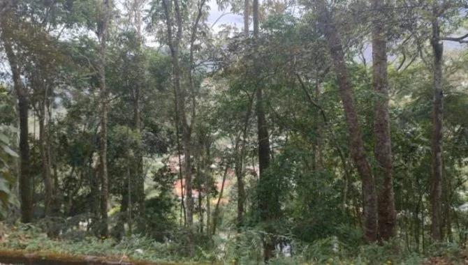 X123790_foto10.jpg