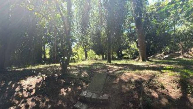 X123860_foto15.jpg