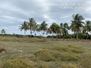 IDR184602_foto1.jpg