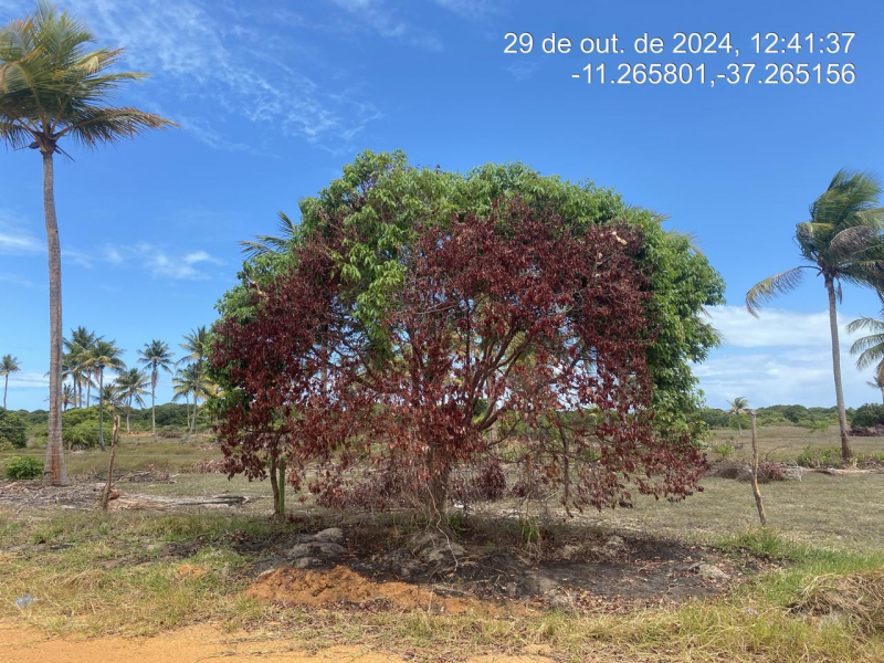 IDR184665_foto2.jpg