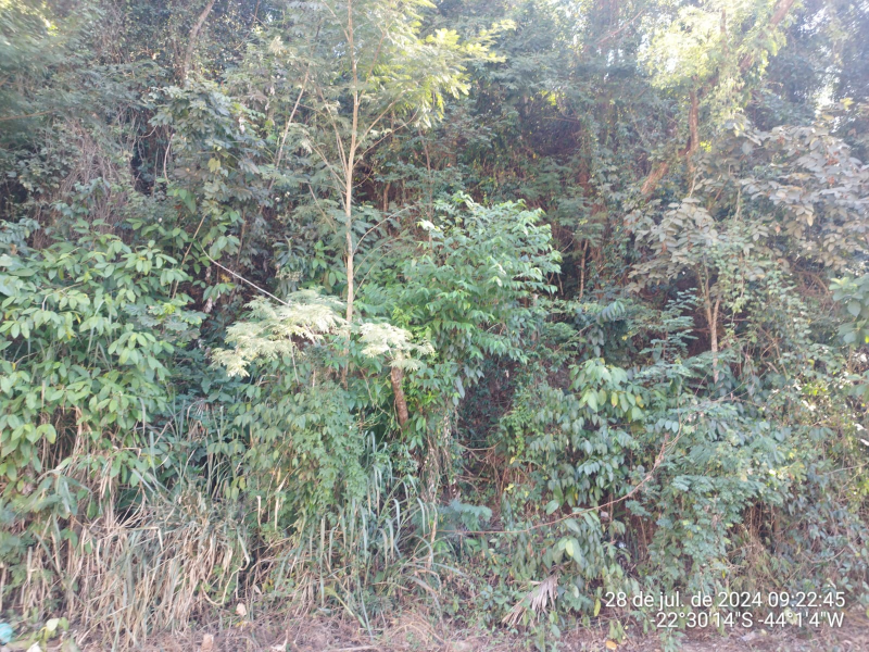IDR185688_foto2.jpg