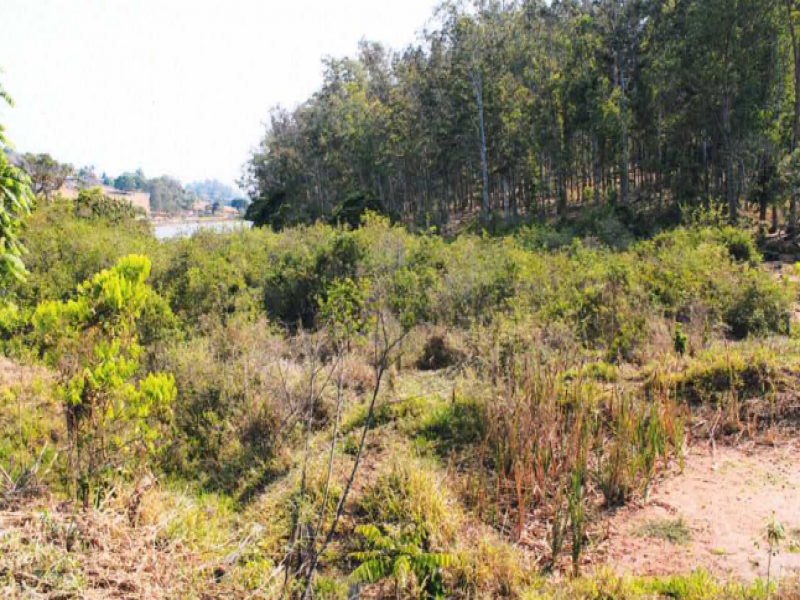 IDR186960_foto2.jpg