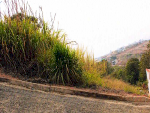 IDR186967_foto1.jpg