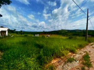 IDR187135_foto1.jpg